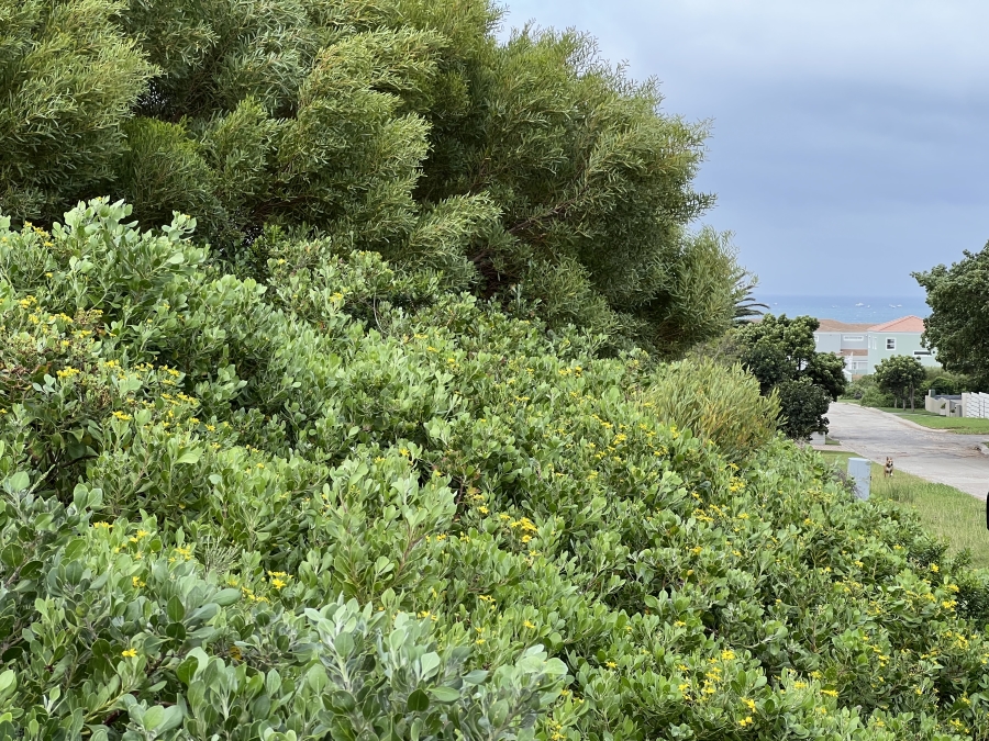 0 Bedroom Property for Sale in St Francis On Sea Phase I Eastern Cape